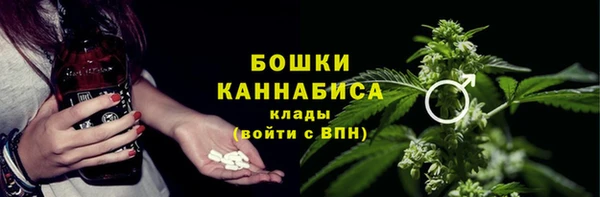 шишки Армянск