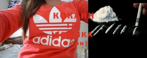 шишки Армянск