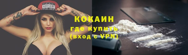 шишки Армянск