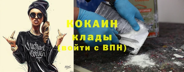 шишки Армянск