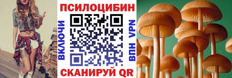 Галлюциногенные грибы Psilocybine cubensis  наркошоп  кракен онион  Чистополь 